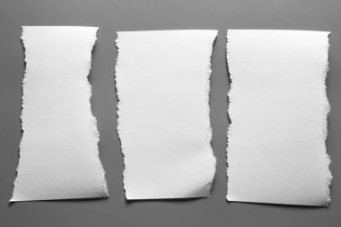 Gri arka planda beyaz yırtık kağıt. koleksiyon kağıdı yırtılması.