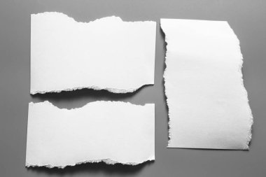 Gri arka planda beyaz yırtık kağıt. koleksiyon kağıdı yırtılması.