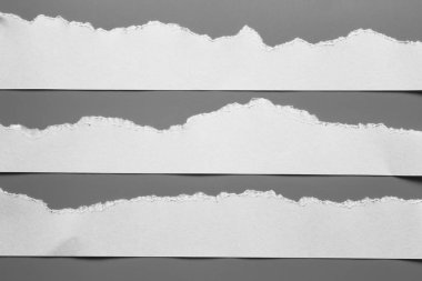 Gri arka planda beyaz yırtık kağıt. koleksiyon kağıdı yırtılması.