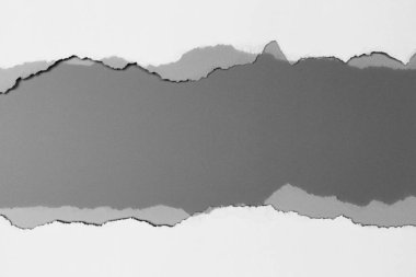 Gri arka planda beyaz yırtık kağıt. koleksiyon kağıdı yırtılması