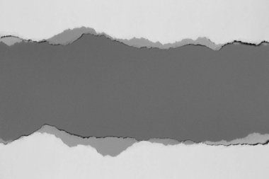 Gri arka planda beyaz yırtık kağıt. koleksiyon kağıdı yırtılması