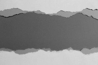 Gri arka planda beyaz yırtık kağıt. koleksiyon kağıdı yırtılması