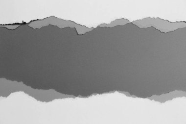 Gri arka planda beyaz yırtık kağıt. koleksiyon kağıdı yırtılması