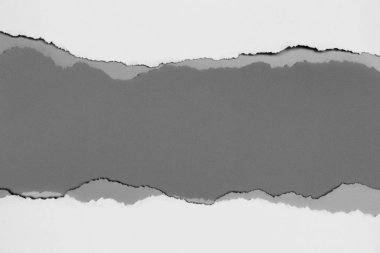 Gri arka planda beyaz yırtık kağıt. koleksiyon kağıdı yırtılması