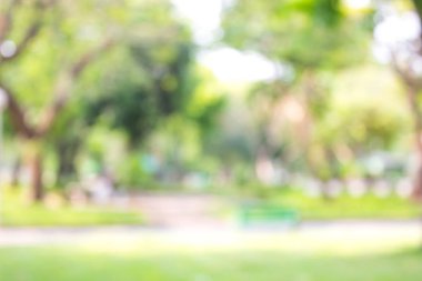 yeşil zemin doğa, daire hafif duvar kağıdı, beyaz bokeh arka plan bulanık