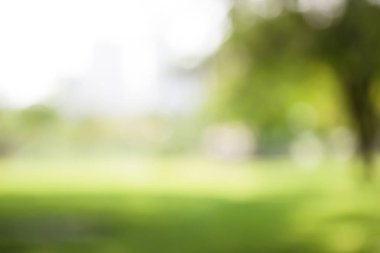 yeşil zemin doğa, daire hafif duvar kağıdı, beyaz bokeh arka plan bulanık