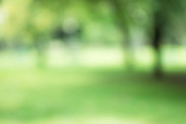 yeşil zemin doğa, daire hafif duvar kağıdı, beyaz bokeh arka plan bulanık