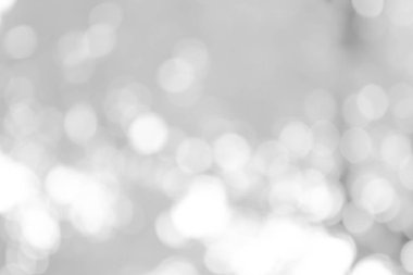 Doğa, daire beyaz duvar kağıdı, gri bokeh arka plan beyaz bulanık zemin