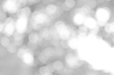 Doğa, daire beyaz duvar kağıdı, gri bokeh arka plan beyaz bulanık zemin