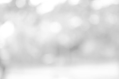 Doğa, daire beyaz duvar kağıdı, gri bokeh arka plan beyaz bulanık zemin