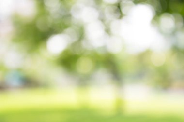 yeşil zemin doğa, daire hafif duvar kağıdı, beyaz bokeh arka plan bulanık