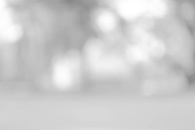 beyaz gri bulanık zemin. yumuşak ışık bokeh arka plan gri.