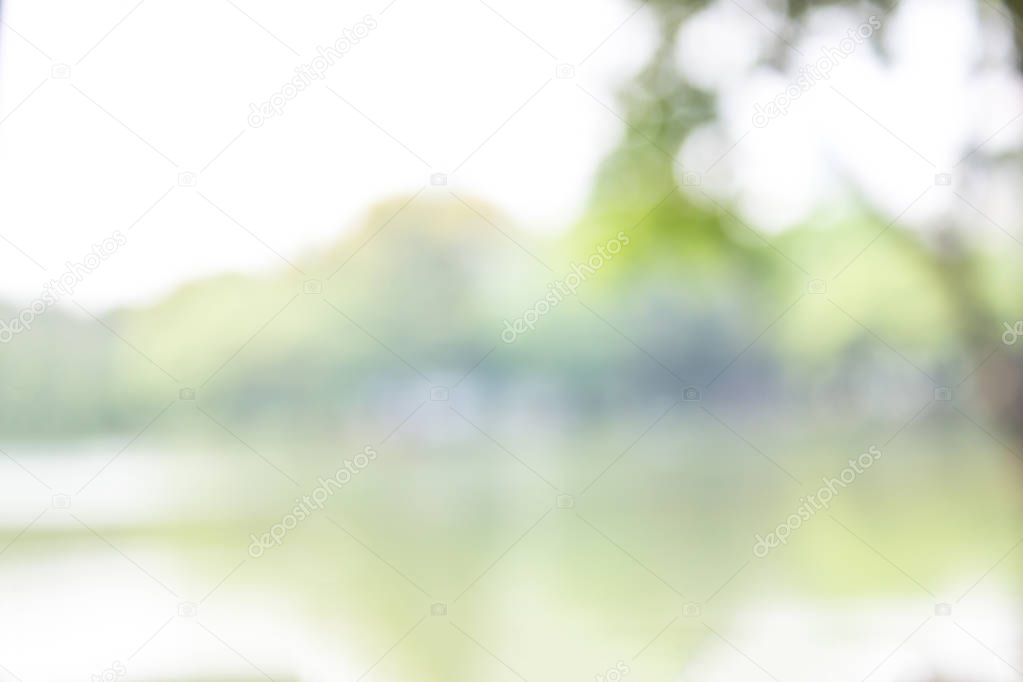 green blurred backdrop of nature, circle light wallpaper, white bokeh background