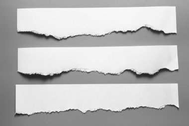 Gri arka planda beyaz yırtık kağıt. koleksiyon kağıdı yırtılması