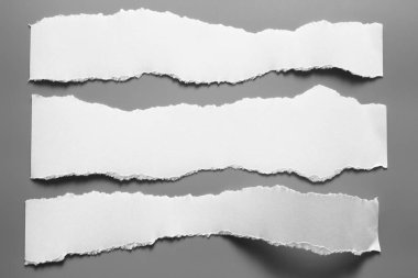 Gri arka planda beyaz yırtık kağıt. koleksiyon kağıdı yırtılması