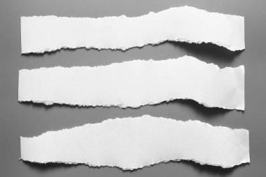 Gri arka planda beyaz yırtık kağıt. koleksiyon kağıdı yırtılması