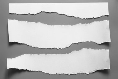 Gri arka planda beyaz yırtık kağıt. koleksiyon kağıdı yırtılması