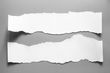 Gri arka planda beyaz yırtık kağıt. koleksiyon kağıdı yırtılması