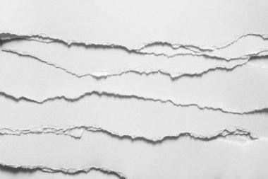 Gri arka planda beyaz yırtık kağıt. koleksiyon kağıdı yırtılması