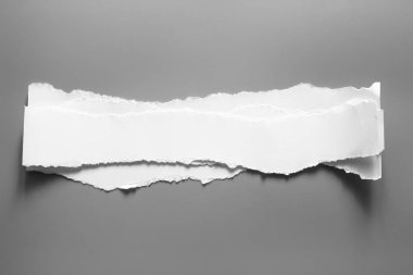 Gri arka planda beyaz yırtık kağıt. koleksiyon kağıdı yırtılması