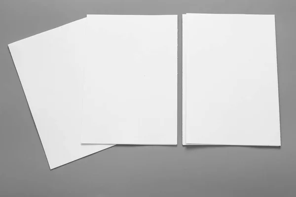 Blank Portrait Mock Paper Brochure Magazine Isolated Gray Changeable Background — Stock Photo, Image