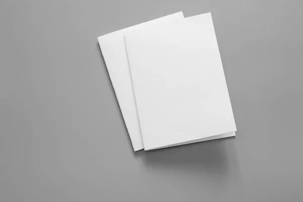 Κενό Πορτρέτο Mock Χαρτί Περιοδικό Φυλλάδιο Που Απομονώνονται Γκρι Φόντο — Φωτογραφία Αρχείου