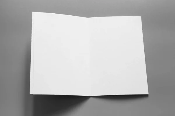 Boş Portre Mock Kağıt Gri Değiştirilebilir Arka Plan Izole Broşür — Stok fotoğraf