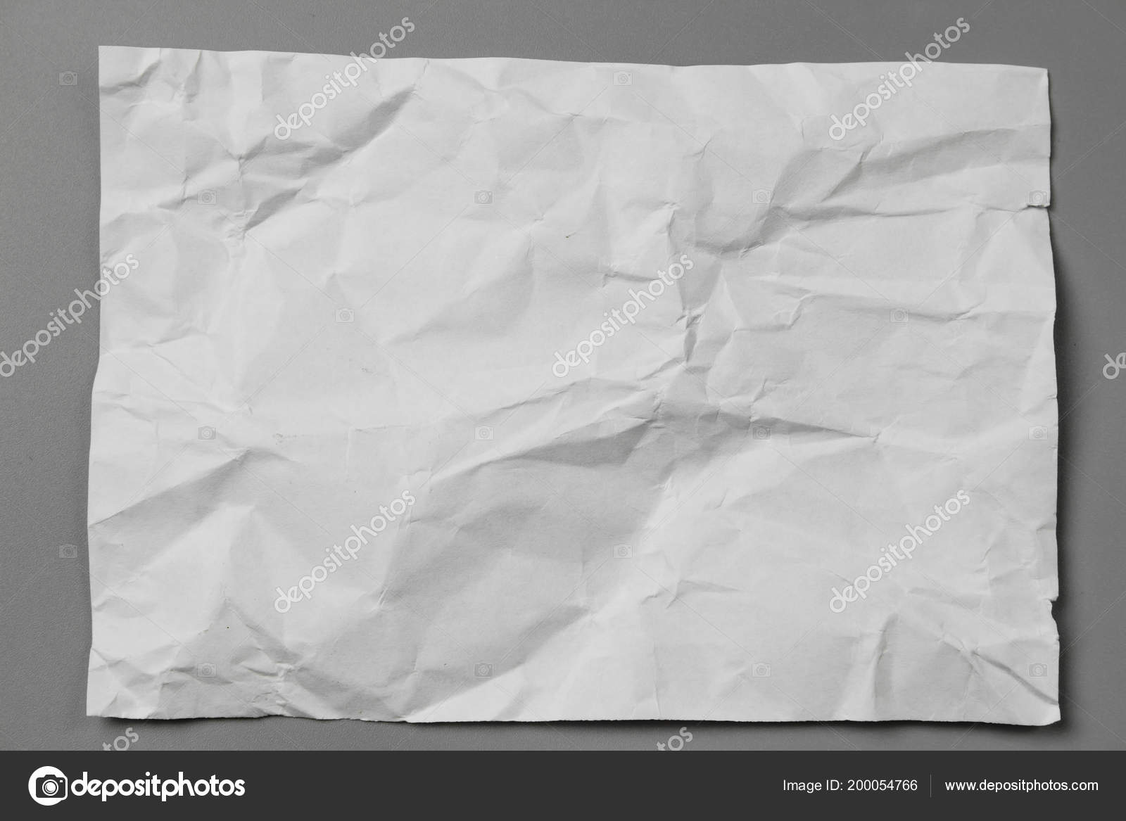 blank portrait mockup crumpled