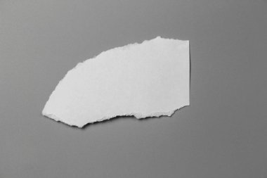 Gri arka planda beyaz yırtık kağıt. koleksiyon kağıdı yırtılması