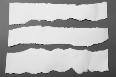 Gri arka planda beyaz yırtık kağıt. koleksiyon kağıdı yırtılması