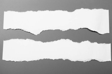 Gri arka planda beyaz yırtık kağıt. koleksiyon kağıdı yırtılması