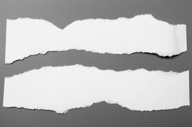 Gri arka planda beyaz yırtık kağıt. koleksiyon kağıdı yırtılması