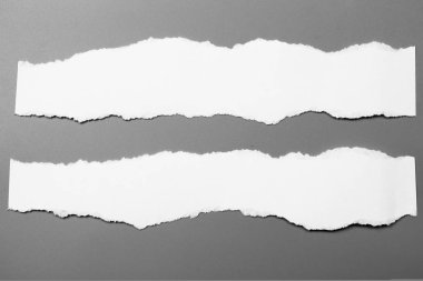 Gri arka planda beyaz yırtık kağıt. koleksiyon kağıdı yırtılması