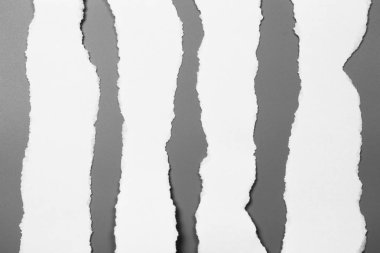 Gri arka planda beyaz yırtık kağıt. koleksiyon kağıdı yırtılması