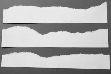 Gri arka planda beyaz yırtık kağıt. koleksiyon kağıdı yırtılması.