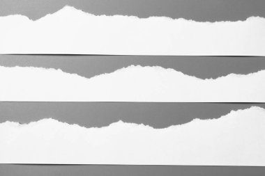 Gri arka planda beyaz yırtık kağıt. koleksiyon kağıdı yırtılması