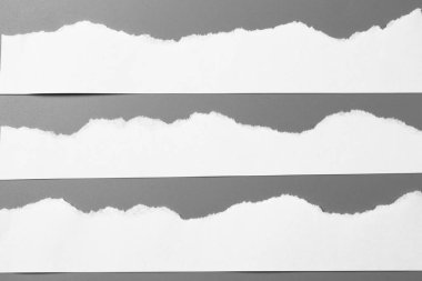 Gri arka planda beyaz yırtık kağıt. koleksiyon kağıdı yırtılması