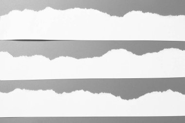 Gri arka planda beyaz yırtık kağıt. koleksiyon kağıdı yırtılması