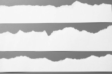 Gri arka planda beyaz yırtık kağıt. koleksiyon kağıdı yırtılması