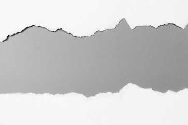 Gri arka planda beyaz yırtık kağıt. koleksiyon kağıdı yırtılması