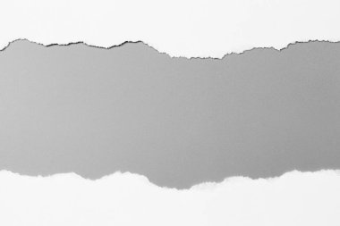 Gri arka planda beyaz yırtık kağıt. koleksiyon kağıdı yırtılması