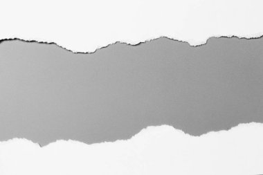 Gri arka planda beyaz yırtık kağıt. koleksiyon kağıdı yırtılması