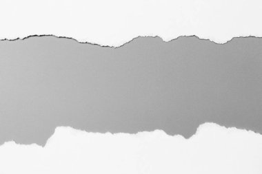 Gri arka planda beyaz yırtık kağıt. koleksiyon kağıdı yırtılması