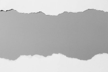 Gri arka planda beyaz yırtık kağıt. koleksiyon kağıdı yırtılması