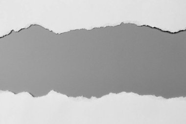 Gri arka planda beyaz yırtık kağıt. koleksiyon kağıdı yırtılması
