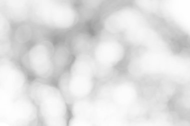 beyaz gri bulanık zemin. yumuşak ışık bokeh arka plan gri.