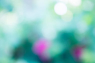 yeşil zemin doğa, daire hafif duvar kağıdı, beyaz bokeh arka plan bulanık