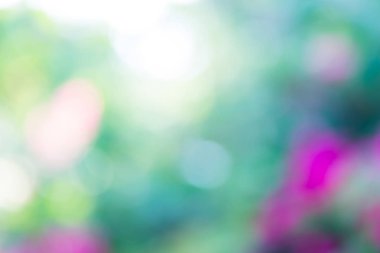 yeşil zemin doğa, daire hafif duvar kağıdı, beyaz bokeh arka plan bulanık