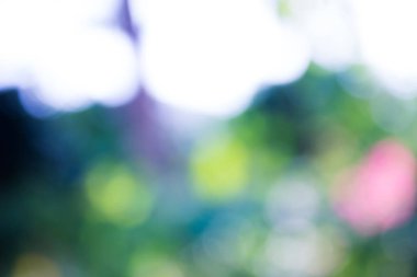 yeşil zemin doğa, daire hafif duvar kağıdı, beyaz bokeh arka plan bulanık