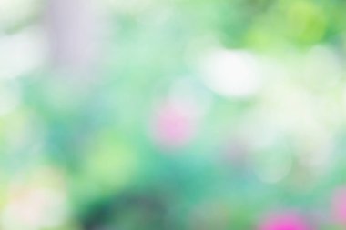 yeşil zemin doğa, daire hafif duvar kağıdı, beyaz bokeh arka plan bulanık